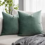 Sage Soft Velvet Throw Pillow Covers 20x20 inch Set of 2