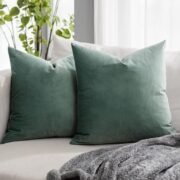 Sage Soft Velvet Throw Pillow Covers 20x20 inch Set of 2