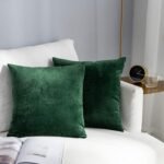 Super Soft Decorative Velvet Cushion Covers Square Throw Pillow Covers